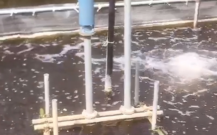 城市污水處理工藝